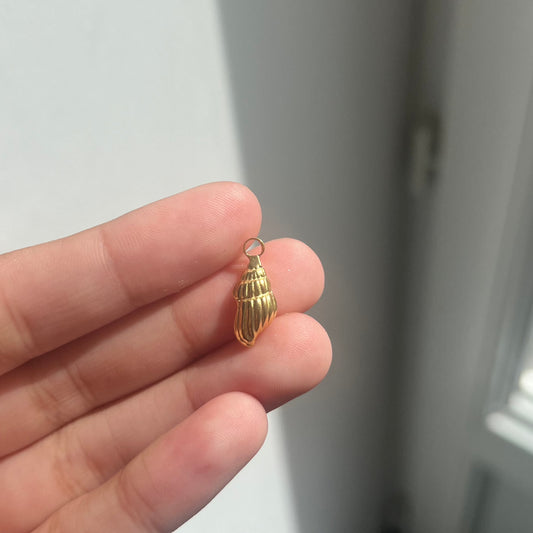 CHARM - Shellfish