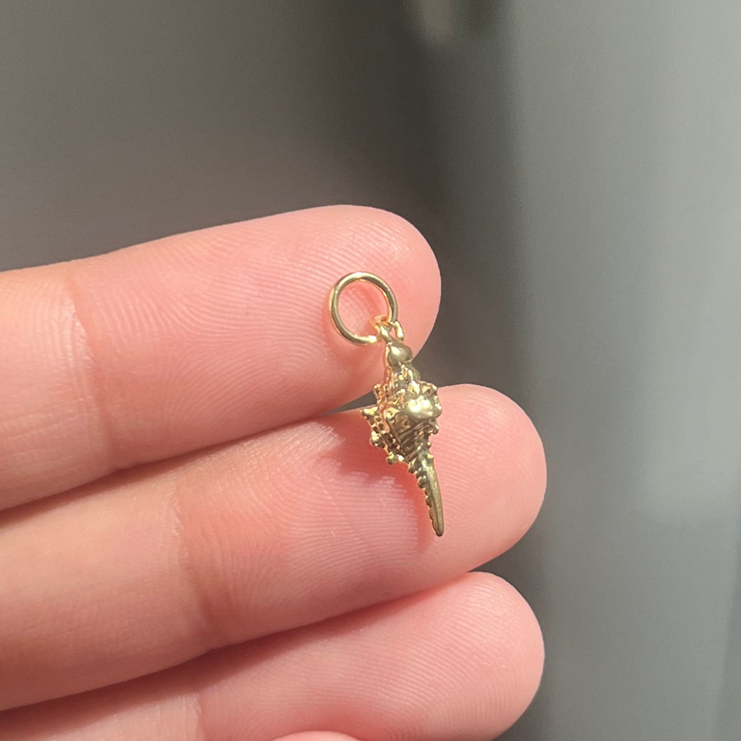 CHARM - Long shellfish