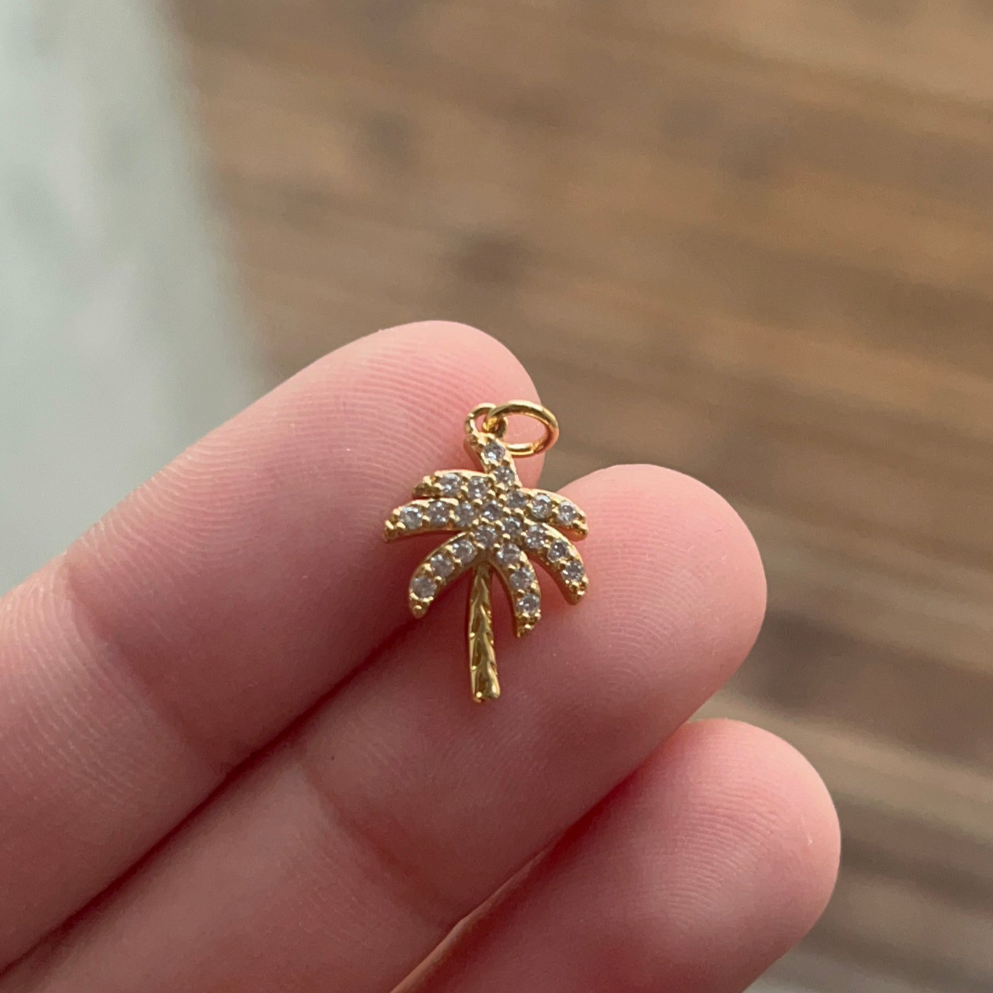 CHARM - Palm